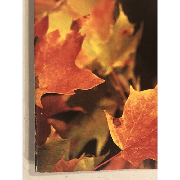 BIRDS & BLOOMS Magazine October/November 2005 Issue Autumn Gardens EUC - Picture 5 of 7